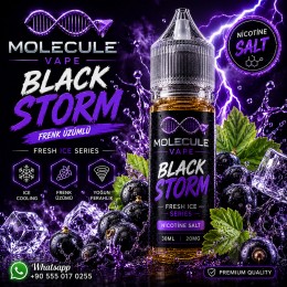 Black Storm - SALT