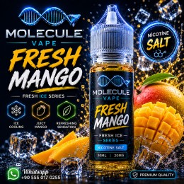 Fresh Mango - SALT