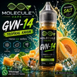 GVN 14 - SALT