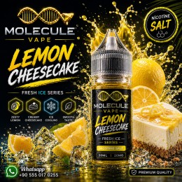 Lemon Cheesecake - SALT