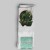 Leguan Design Socks...