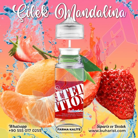 Çilek Mandalina - 120 ML
